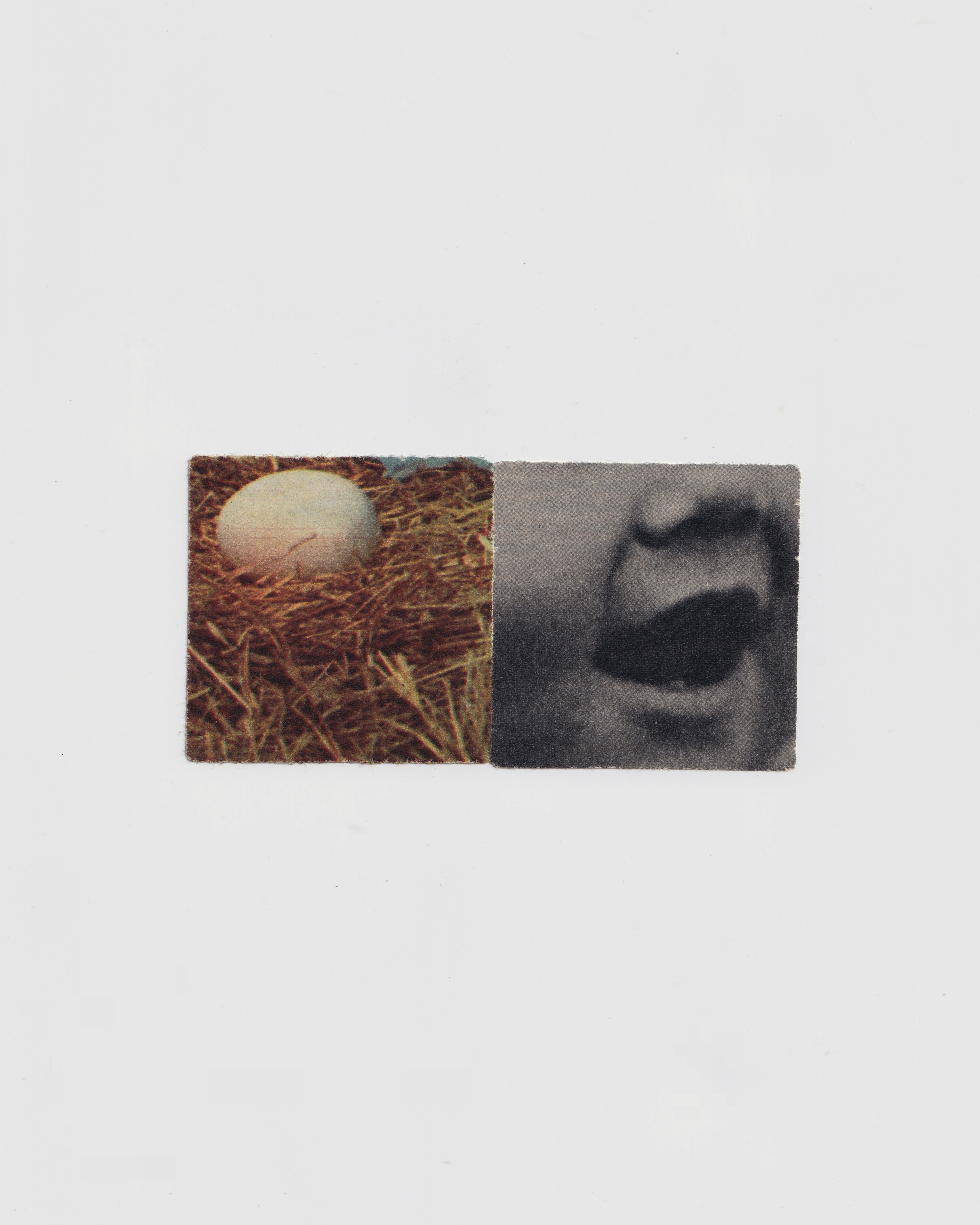 Untitled 2