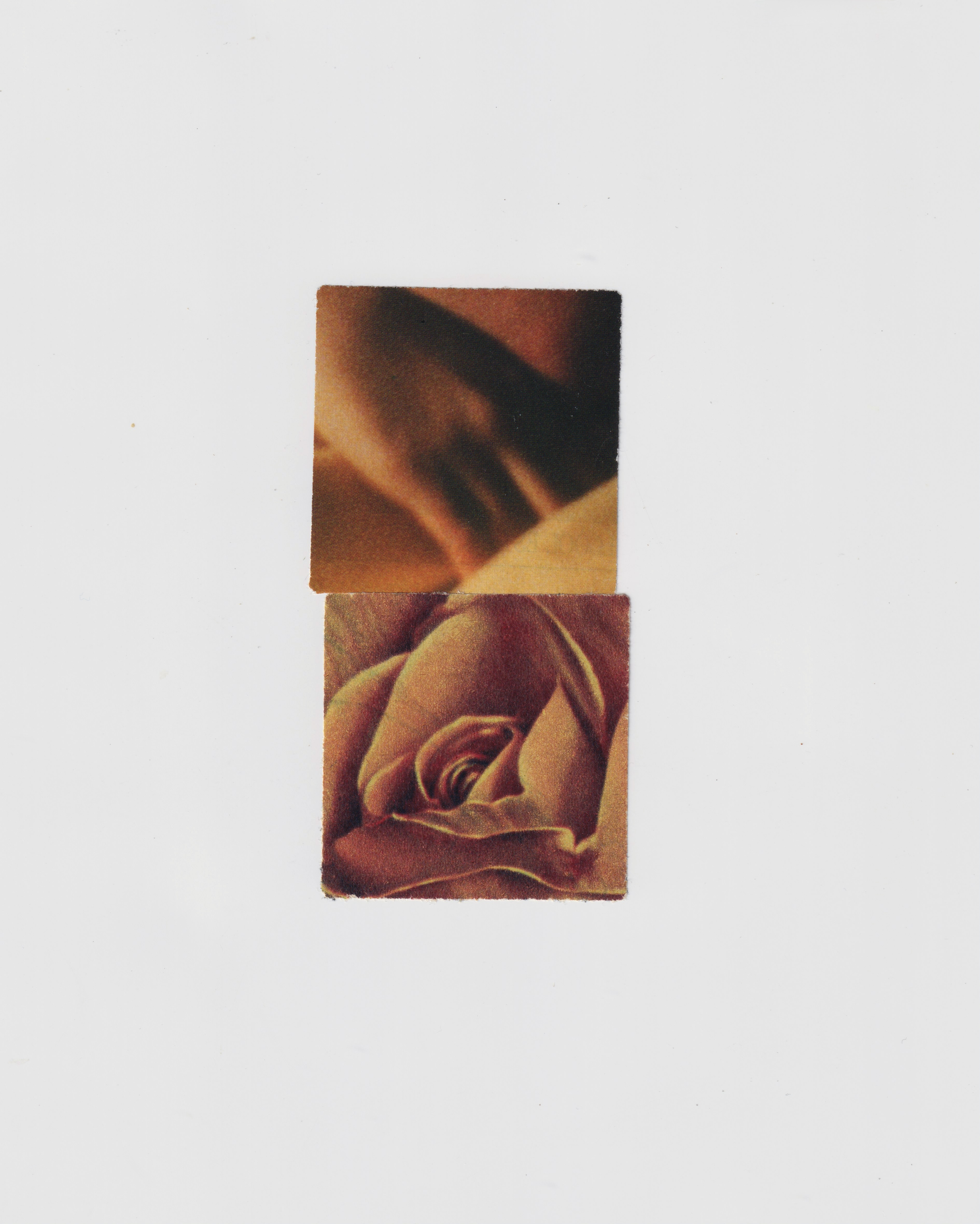 Untitled 3