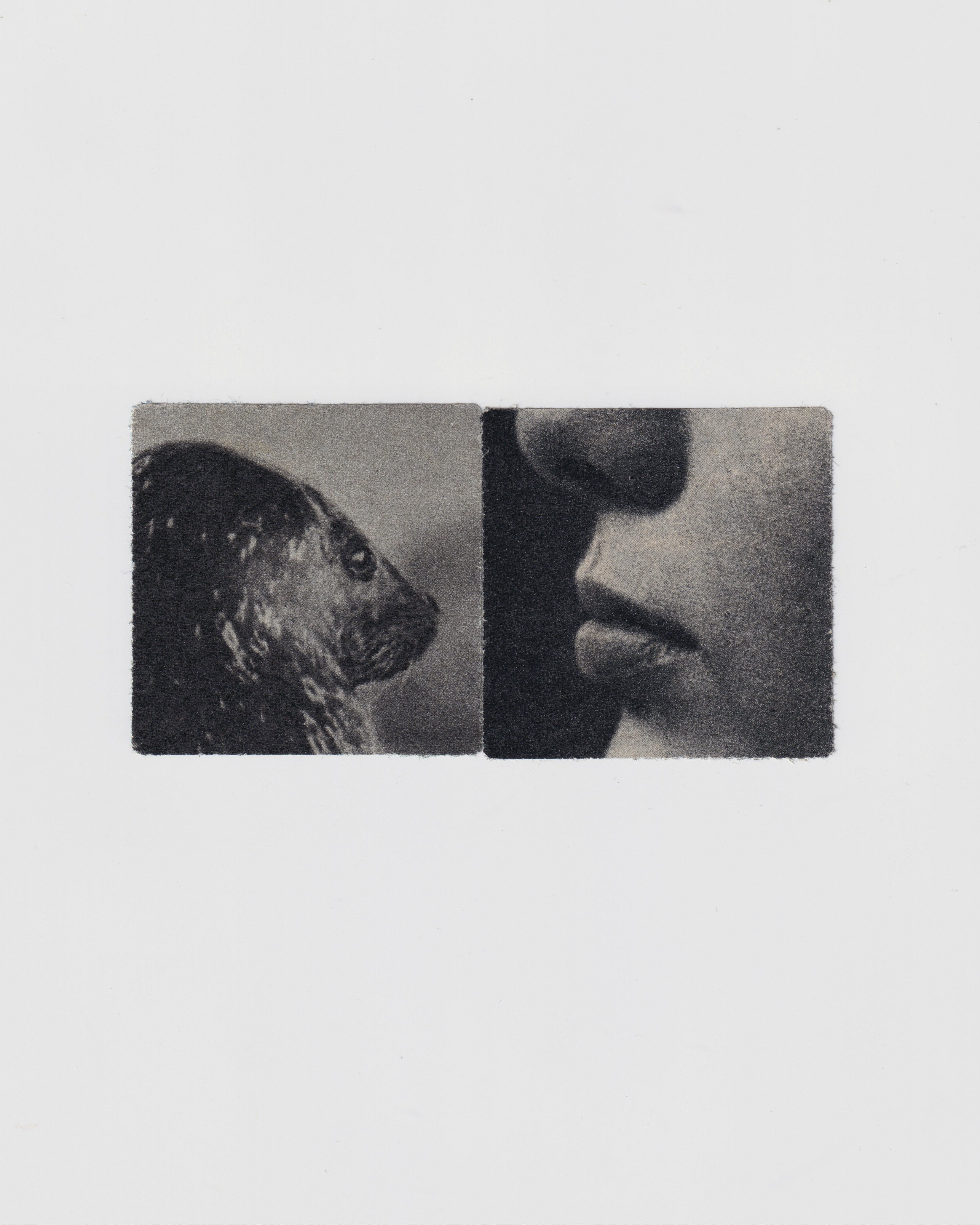 Untitled 4