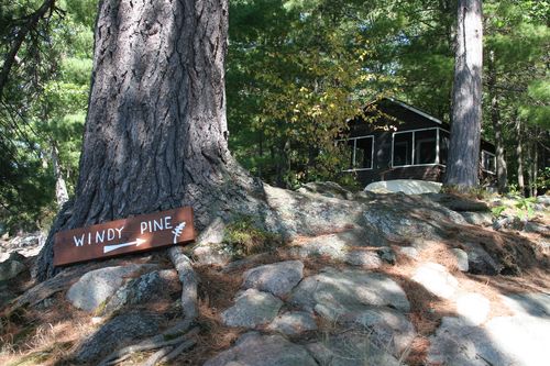 The Return to Windy Pine