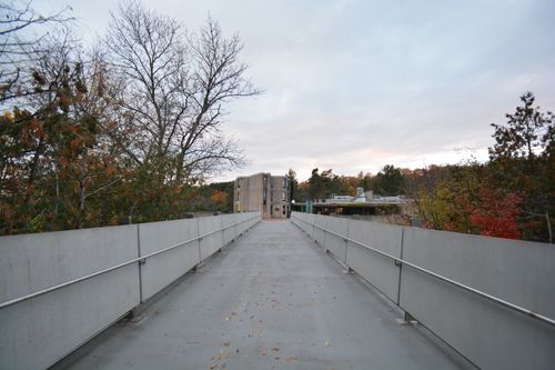 Interdisciplinary Graduate Students at Trent Will Need Help in Navigating the Employment Landscape