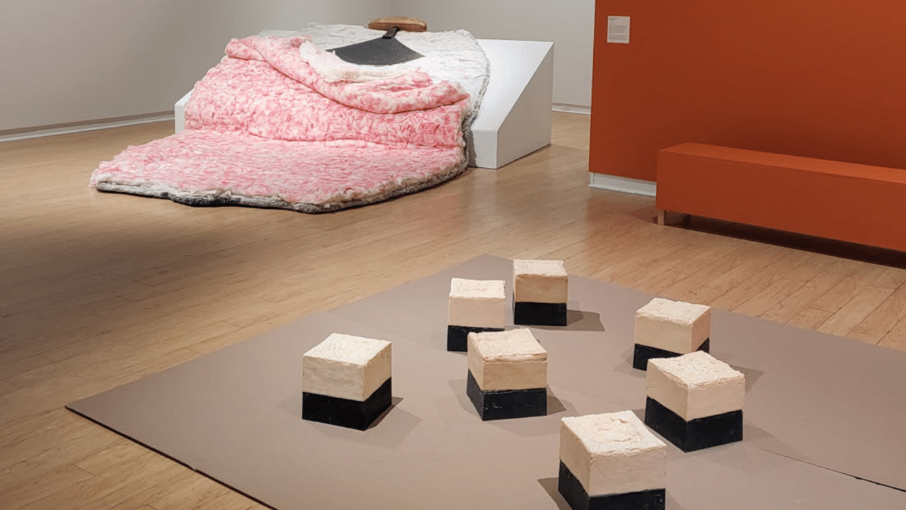 "CAMP" Comes to the Art Gallery of Peterborough