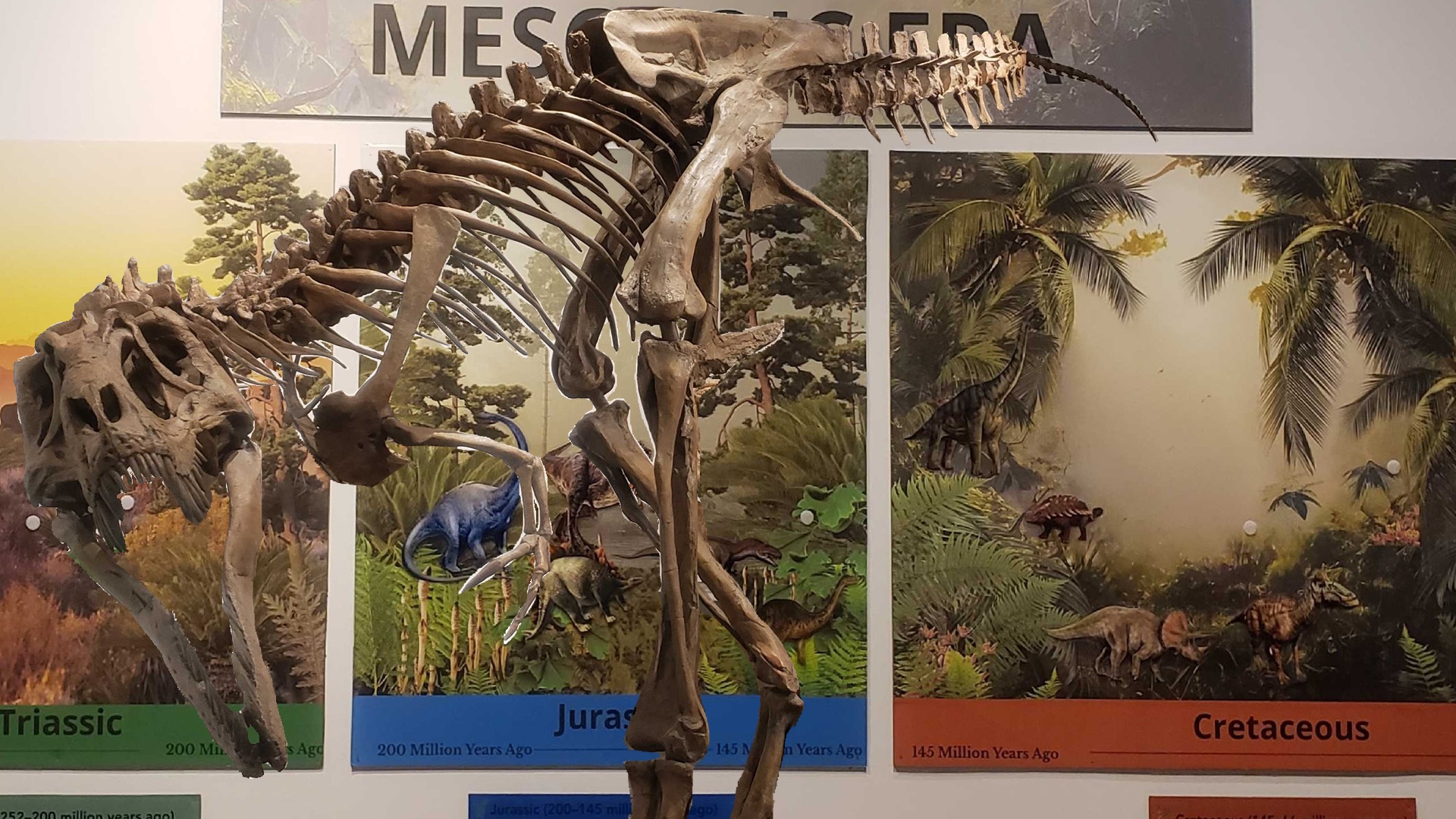 DINOSAURS!: Peterborough Museum & Archives' Latest Exhibit
