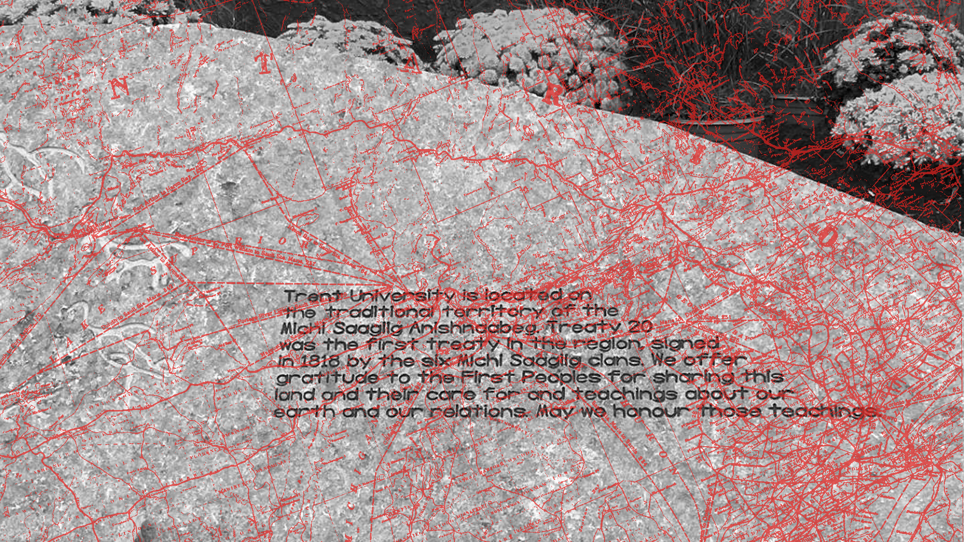 The Acknowledgment That Ate the Land