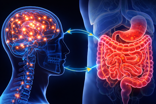 The Gut–Brain Connection: Where Health Begins
