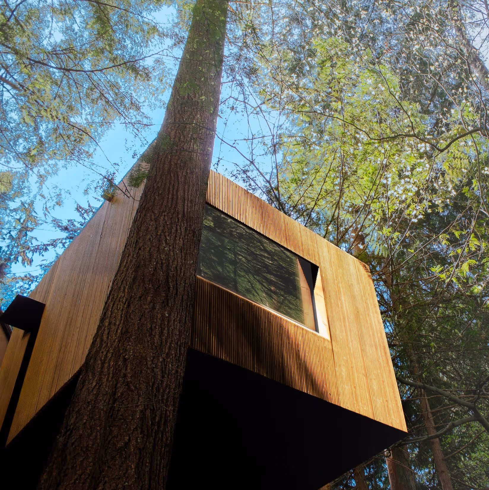 The treehouse: afunctional outdoor space with a three-tiered deck and a sustainable treehouse that doubles as a home office, artist studio, and yoga space for a young family.
