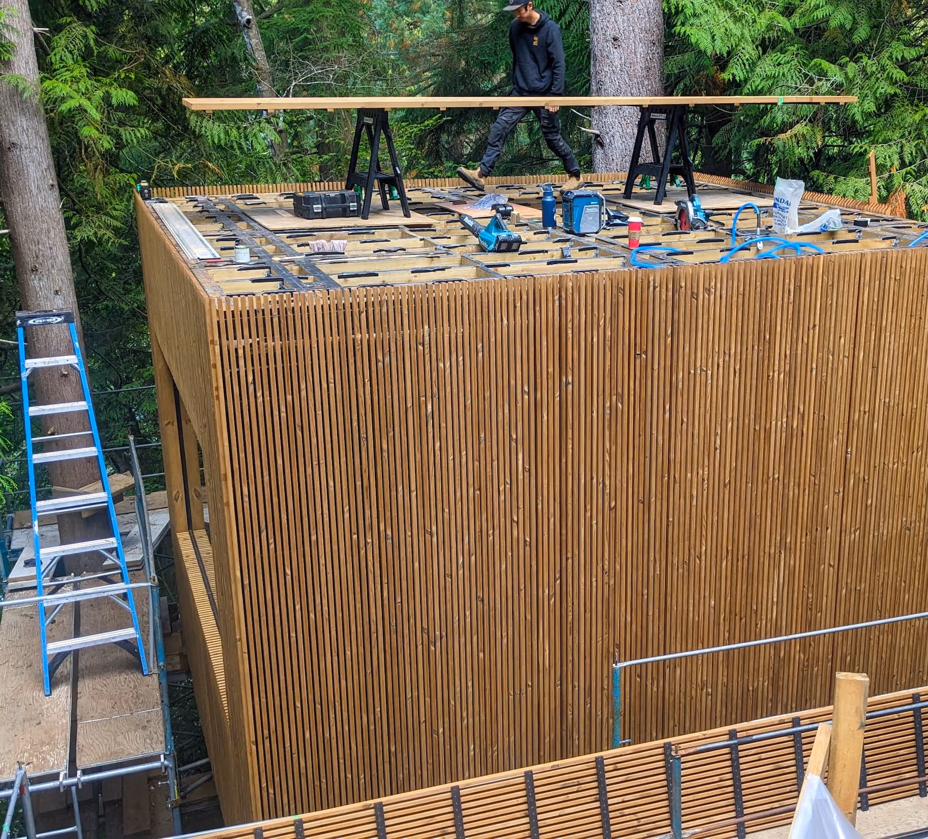 Construction atop the Arboreal Cube treehouse building in North Vancouver