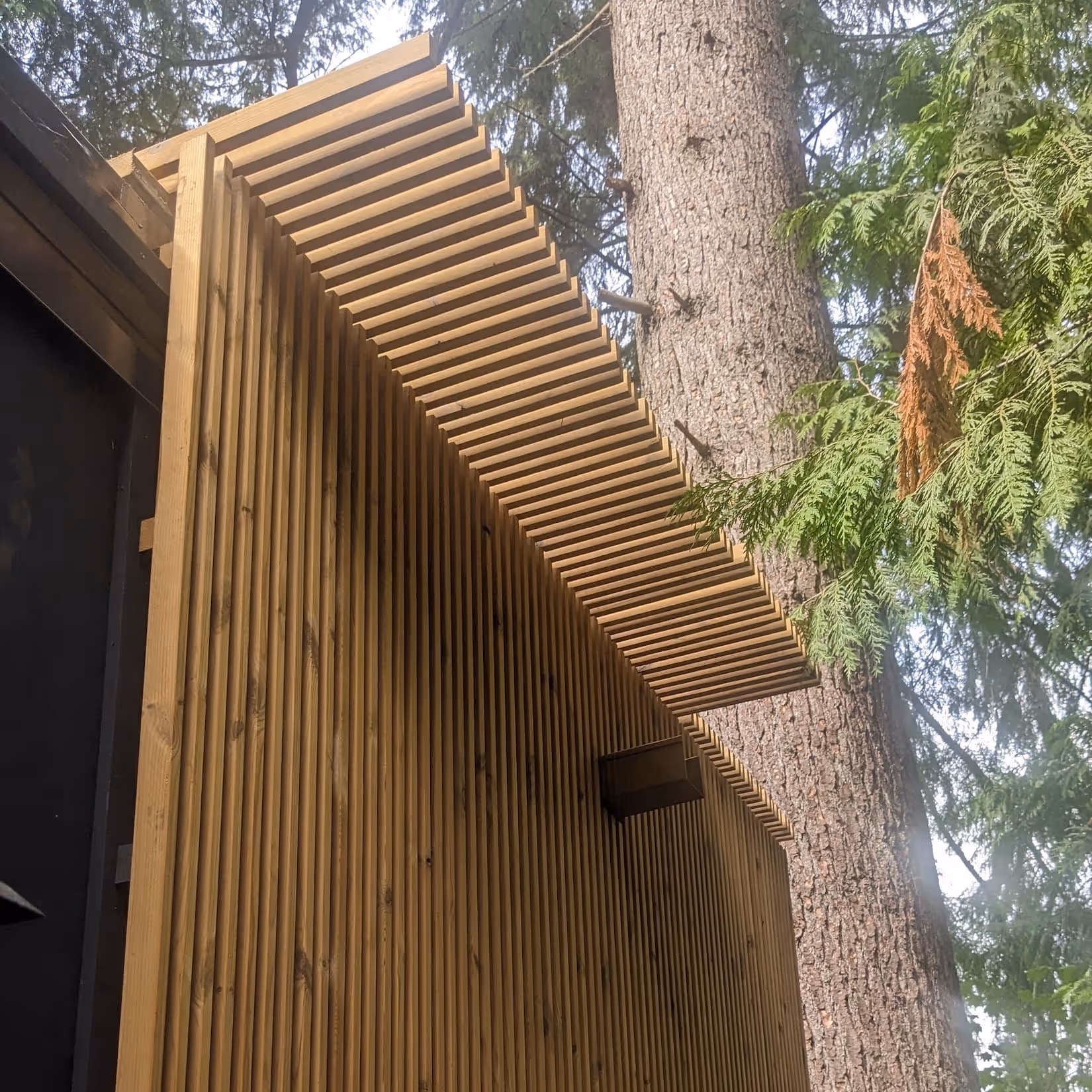 Roof detail in the Arboreal Cube in North Vancouver