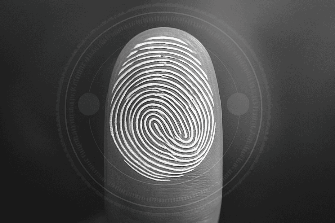 Identity Verification: What It Is and How It Works