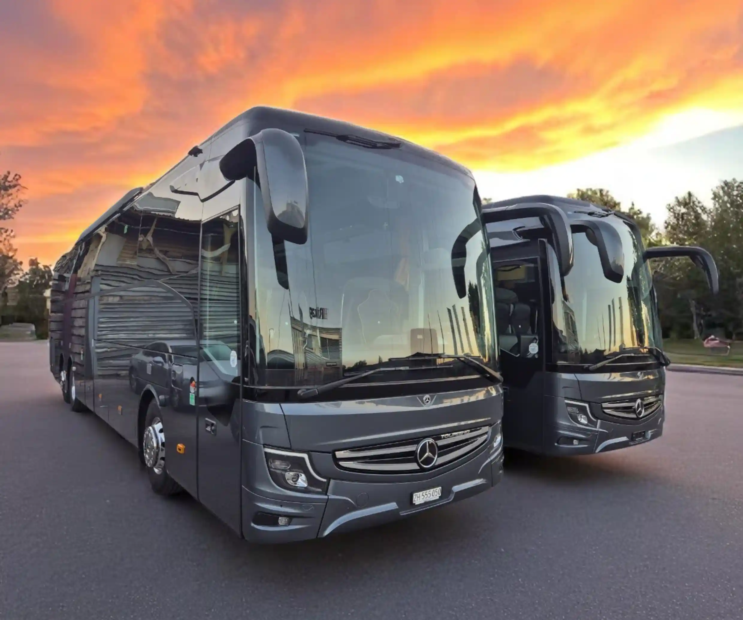 MigTravel-Bussen mit Markendesign