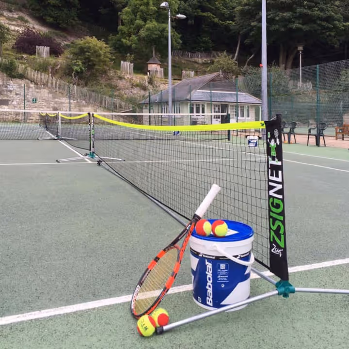 Tennis net and racquet