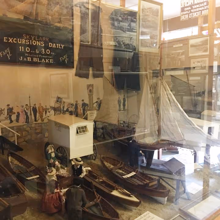 Museum display case