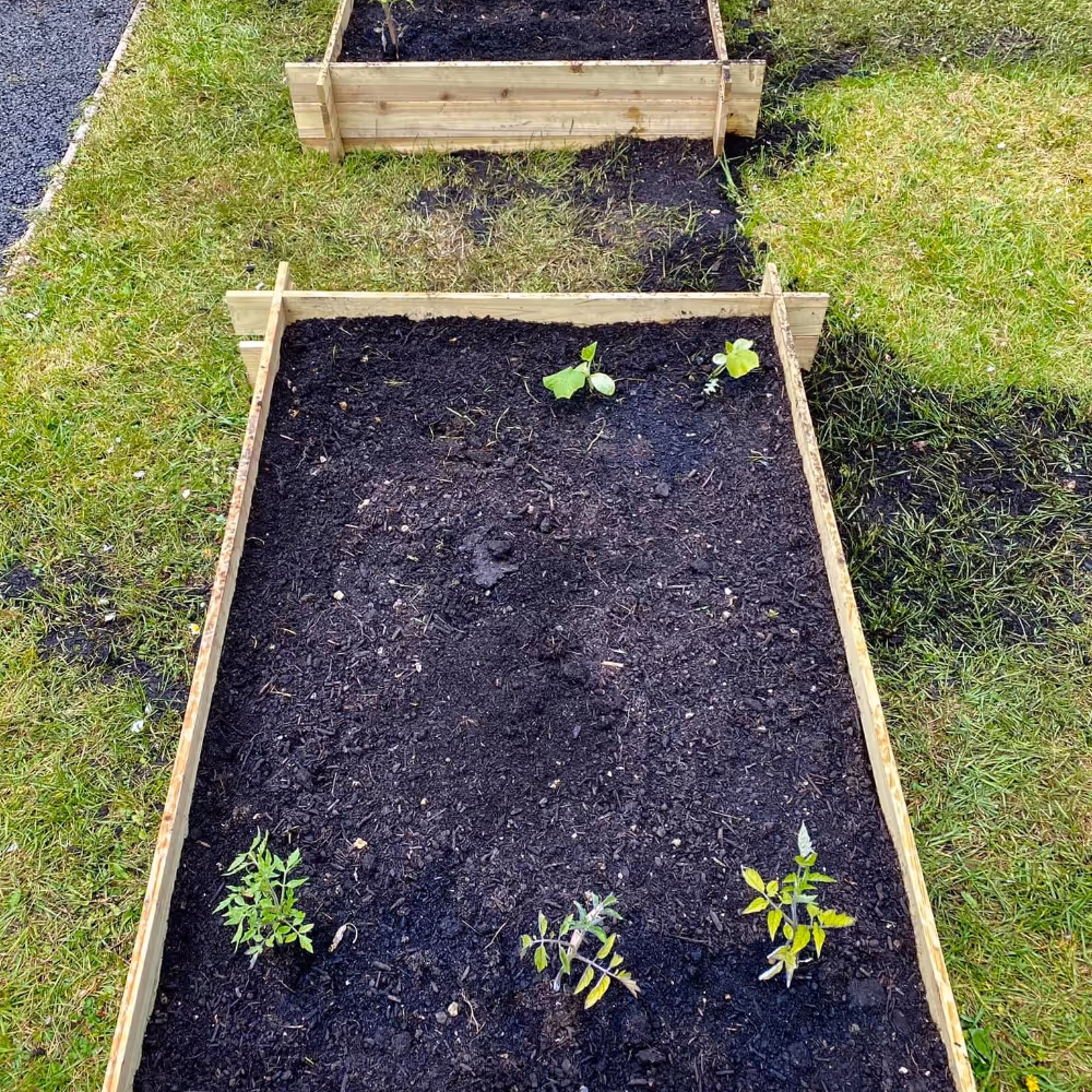 Youth club allotment