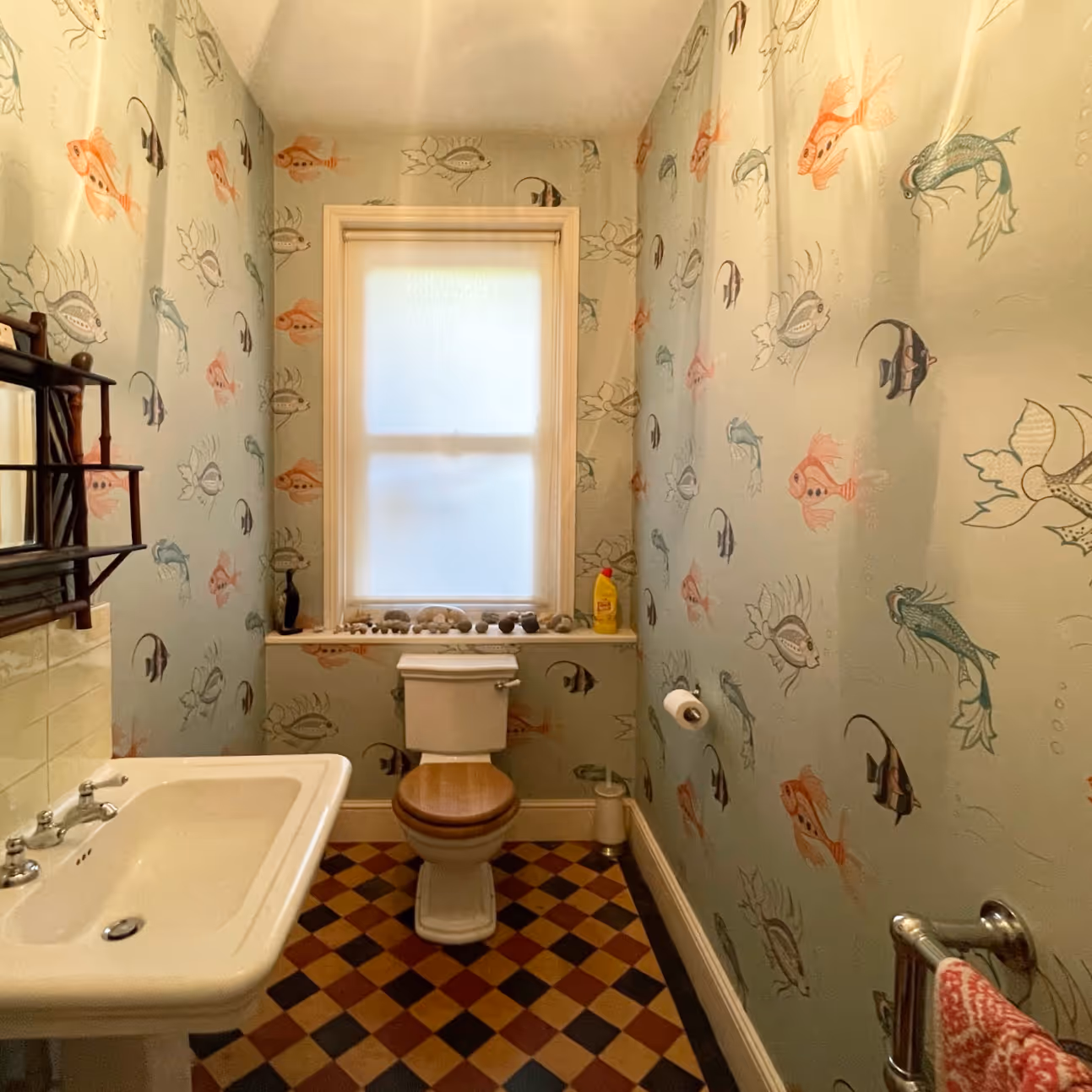 Fun fish themed downstairs toilet
