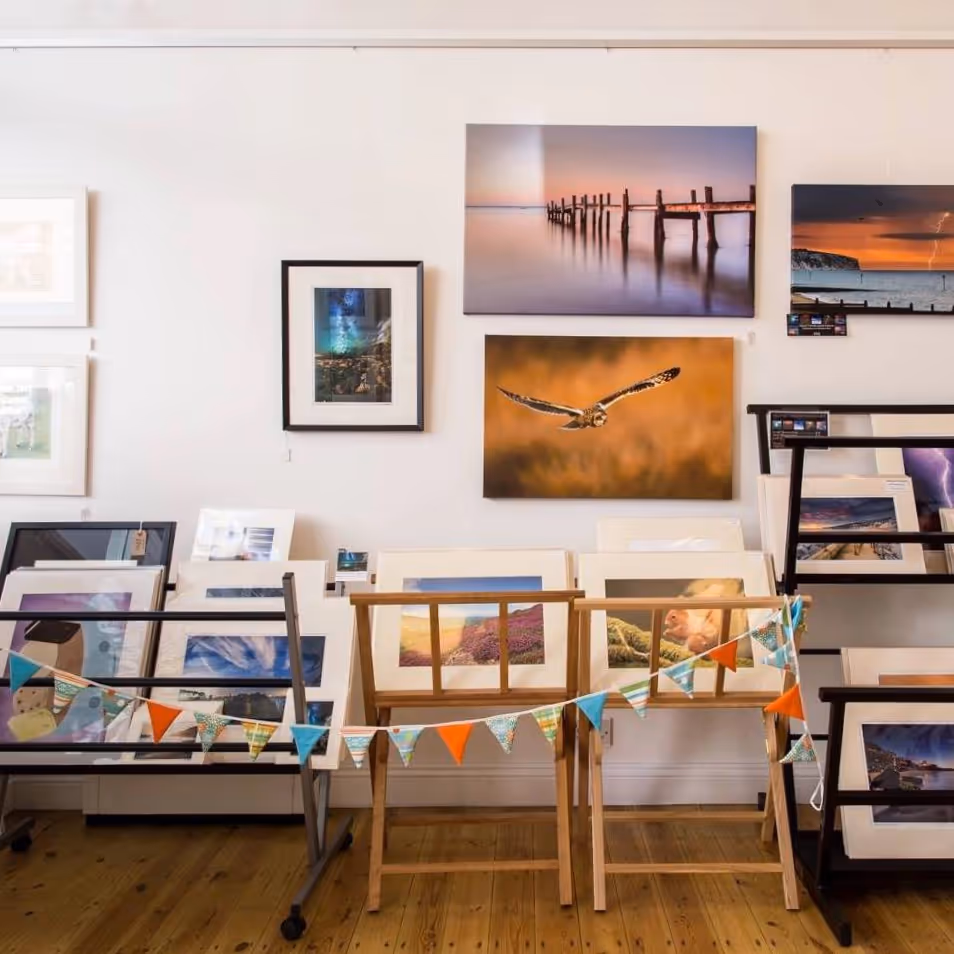 Prints displayed in a gallery