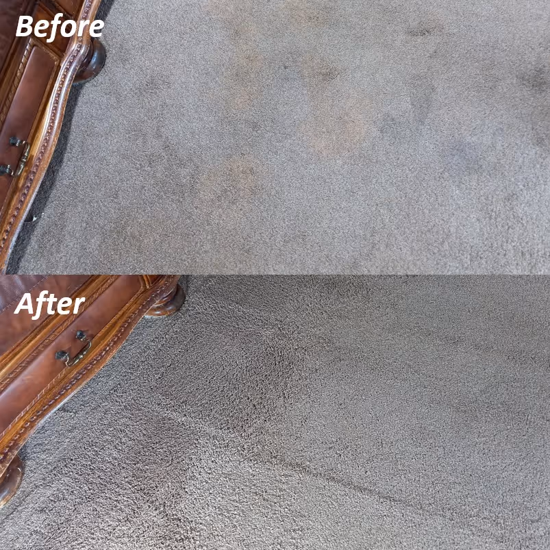 Before and after carpet cleaning results