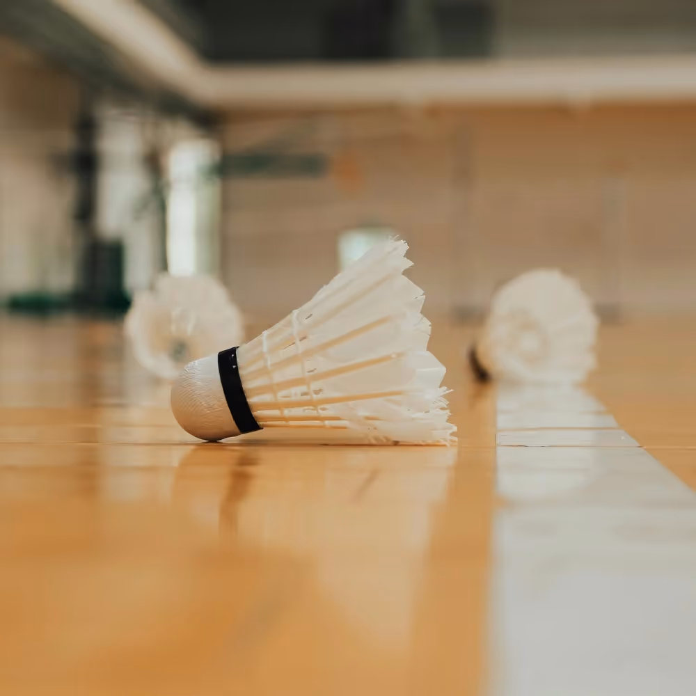 Badminton shuttlecock on the floor