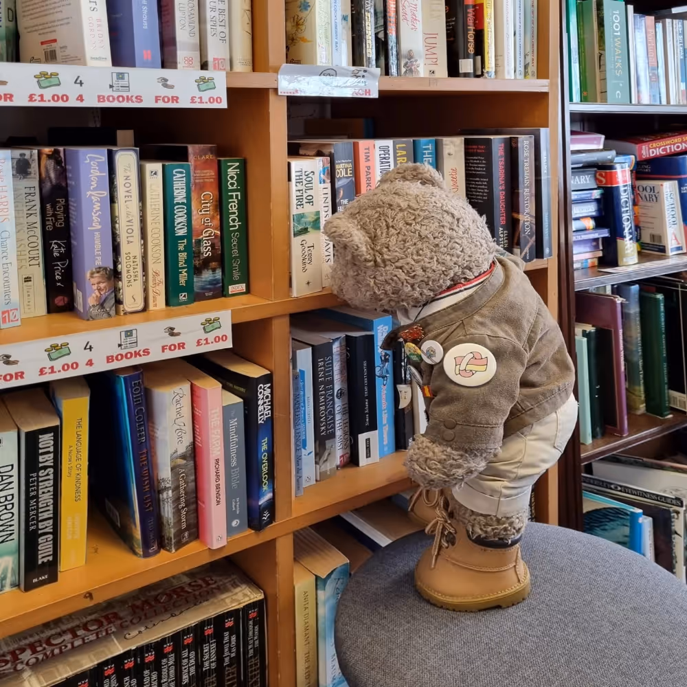 A teddy bear browsing books in a charity shop