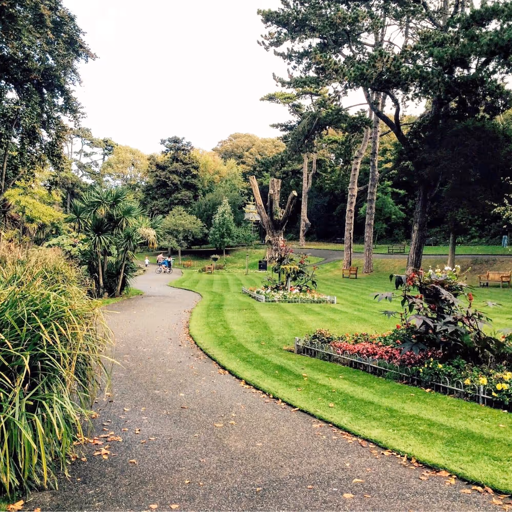 The grounds of a public park
