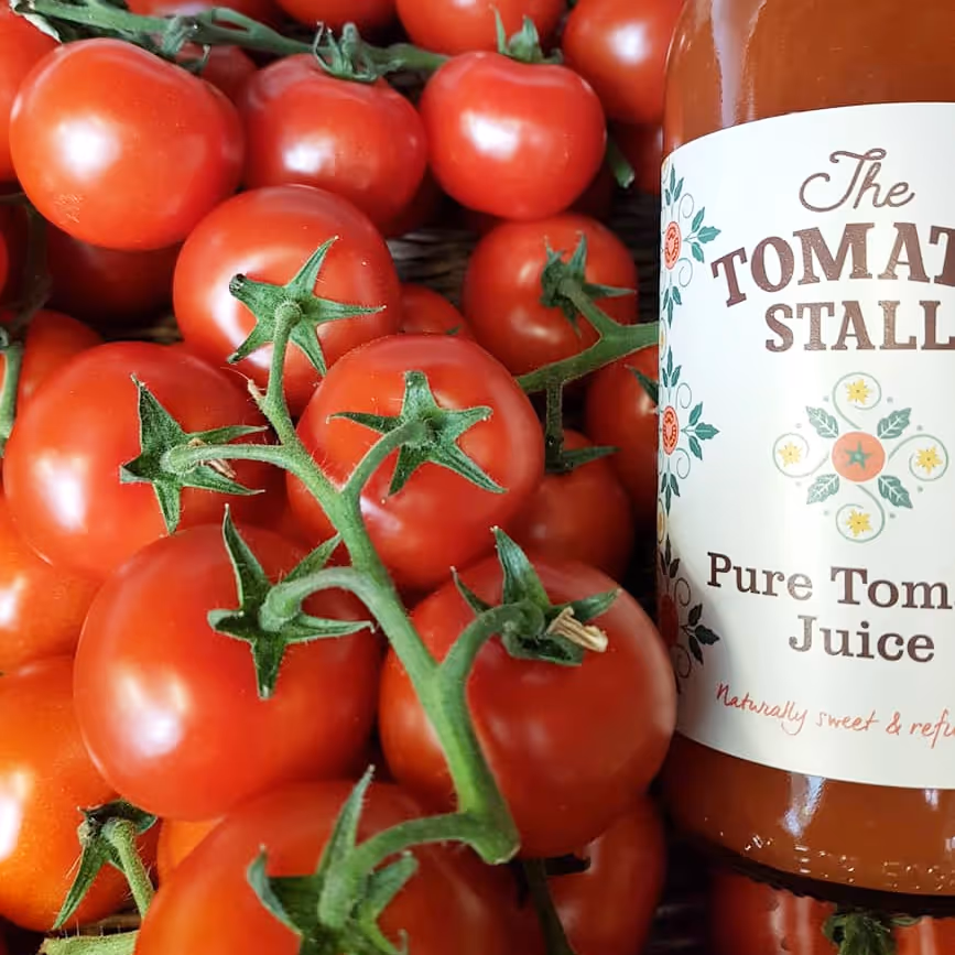 Fresh tomatoes on the vine next to a bottle of pure tomato juice