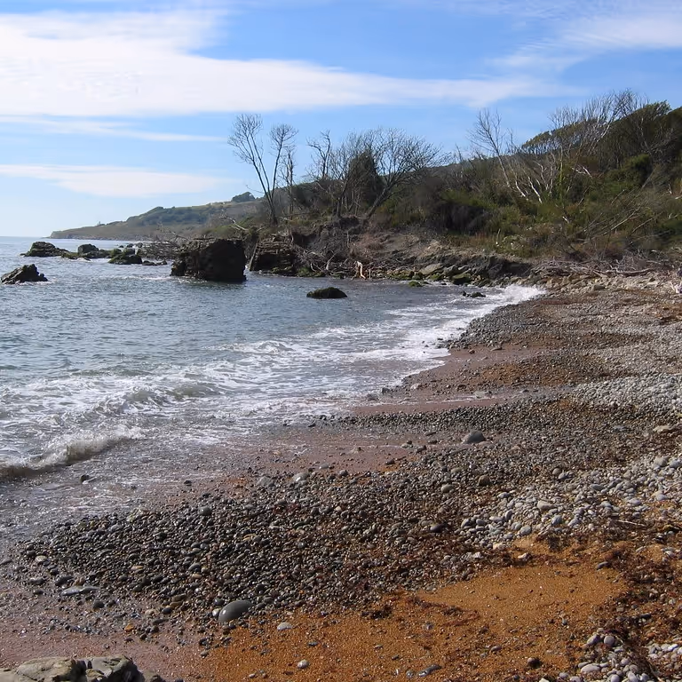 A remote beach of shingle and rock