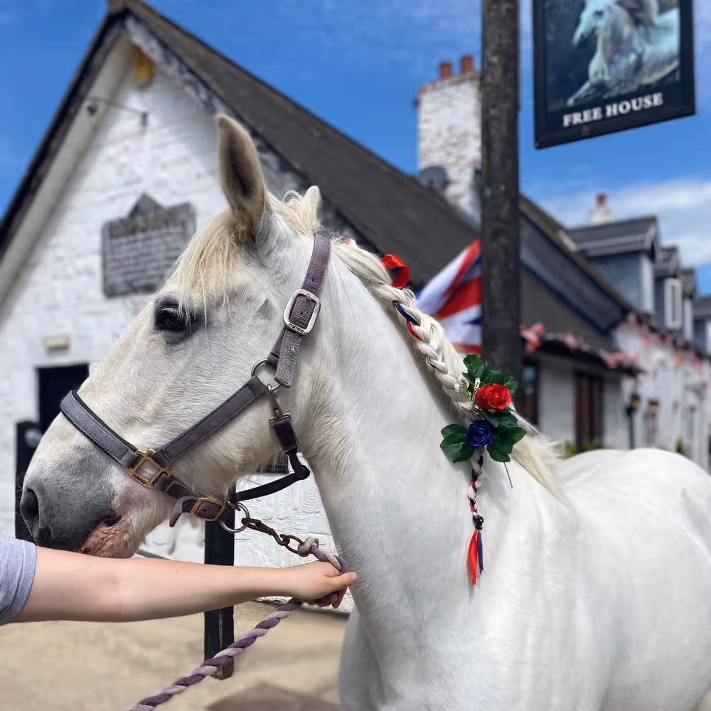 A white horse outside a pub of the same name