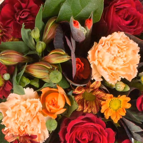 A bouquet of red and peach flowers