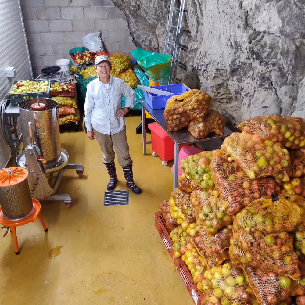 Sacks of apples waiting to be pressed into juice