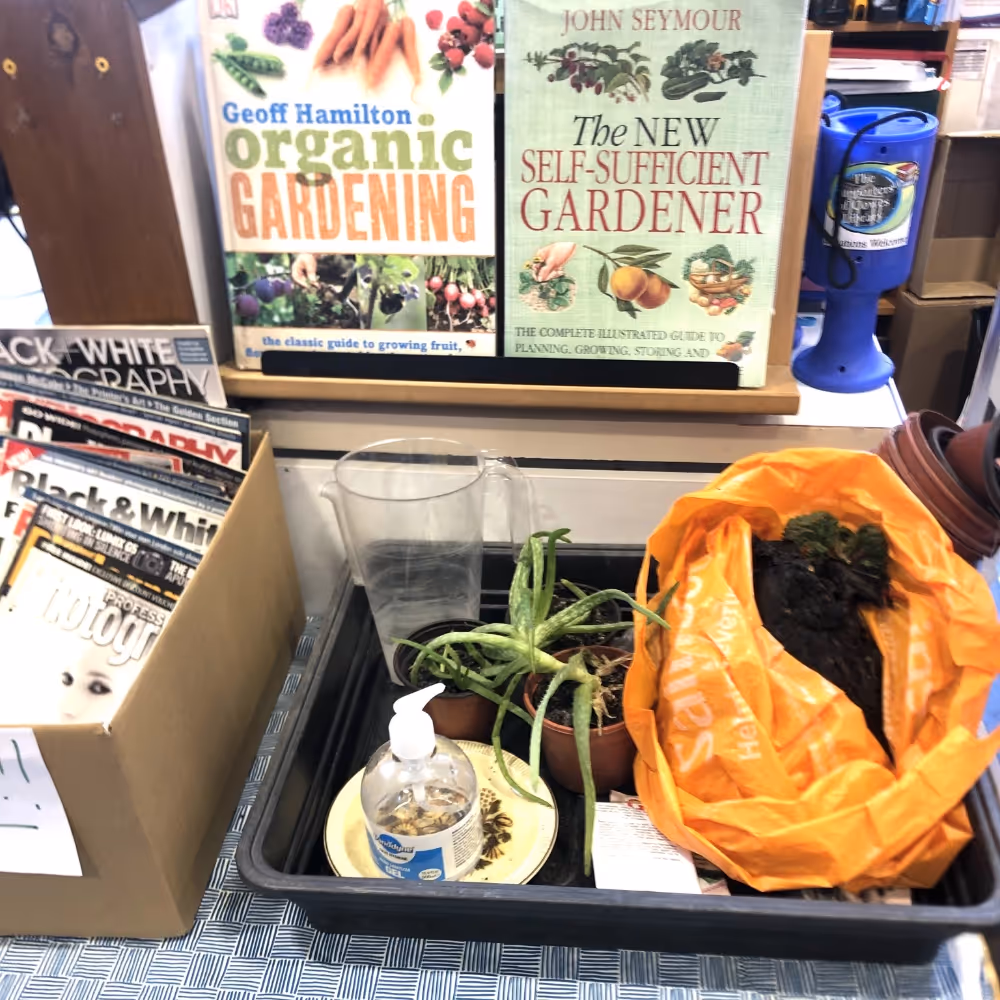 Seeds and gardening books on a market stall