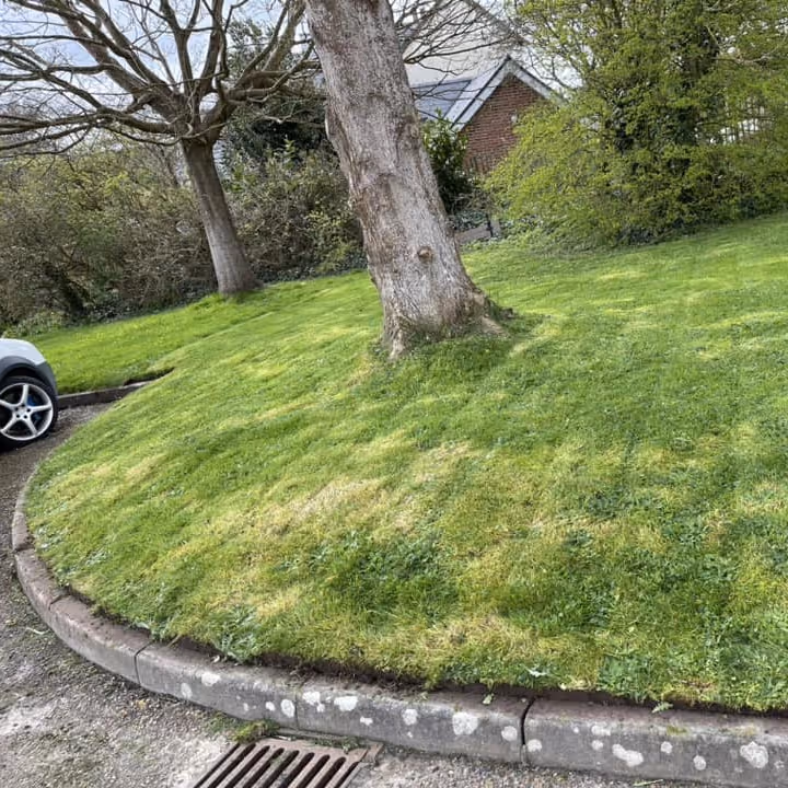 A freshly mowed and trimmed lawn