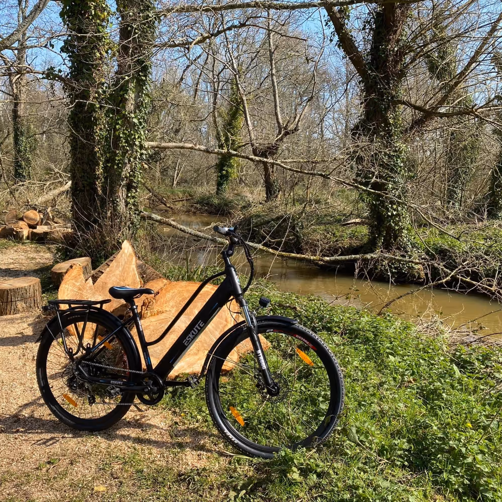 A bike parked up by a river