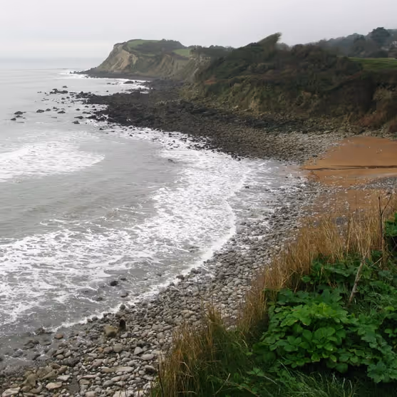 An isolated beach shrouded in mist