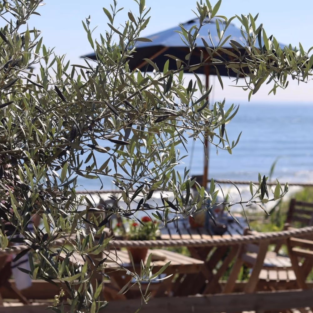 An outside cafe looking towards the sea