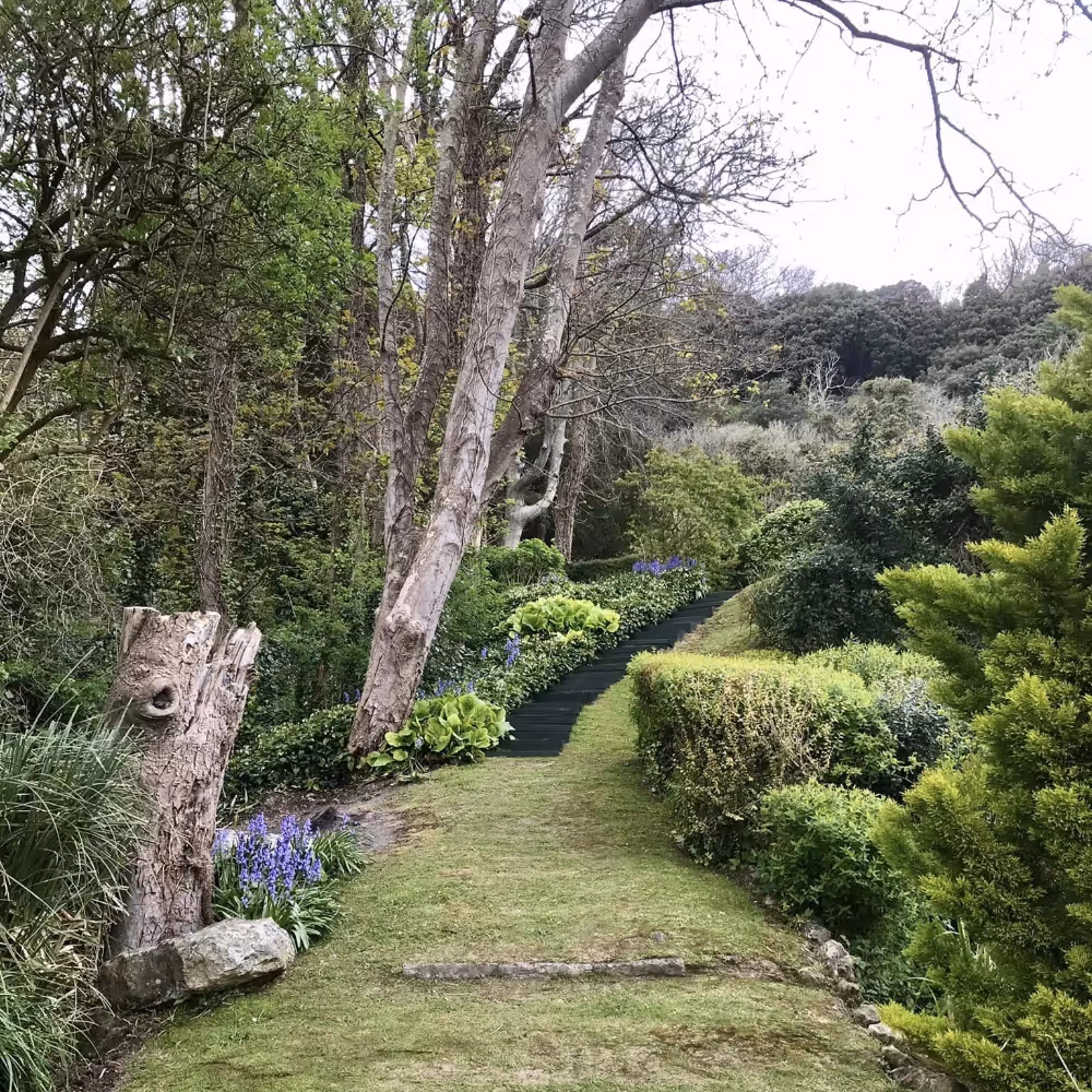 A long path through a garden with mature trees