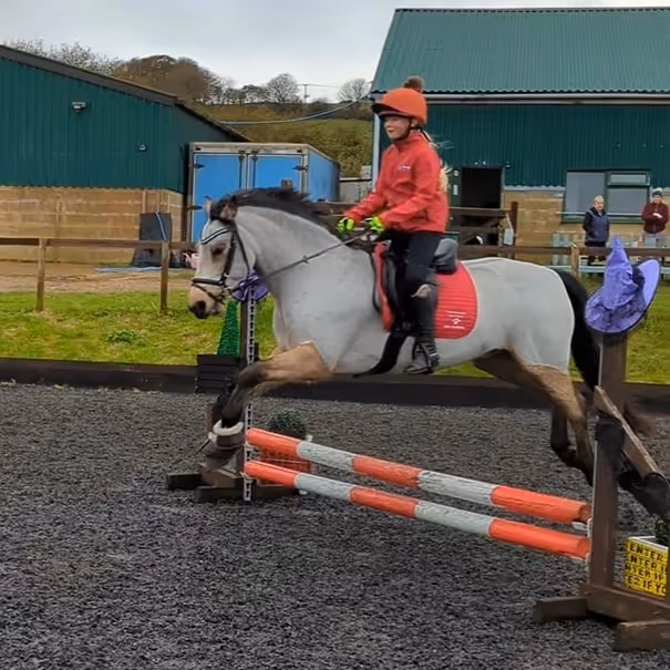 A horse and rider jumping poles