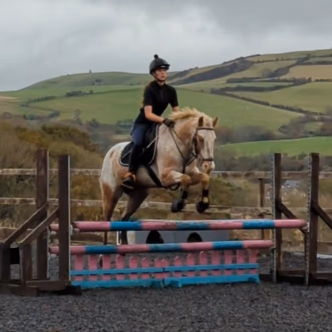 A horse and rider approaching a jump