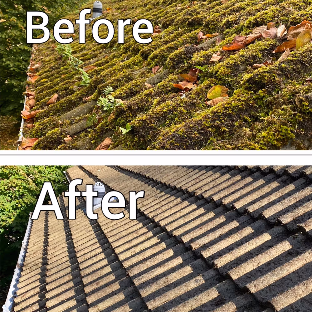 Before and after shots of roof moss cleaning