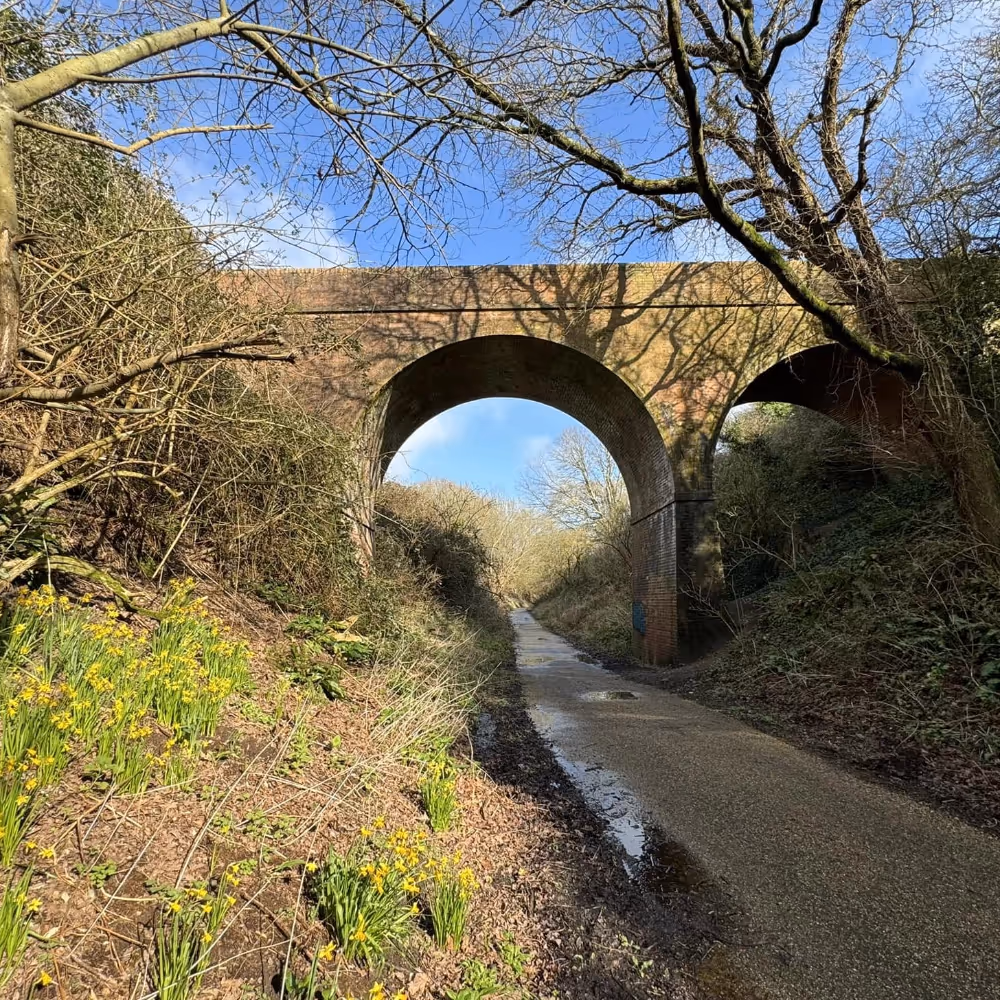 A cycle trail along a disused railway liine