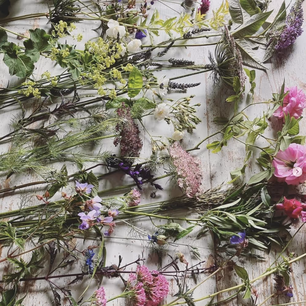 A selection of pretty fresh flower stems