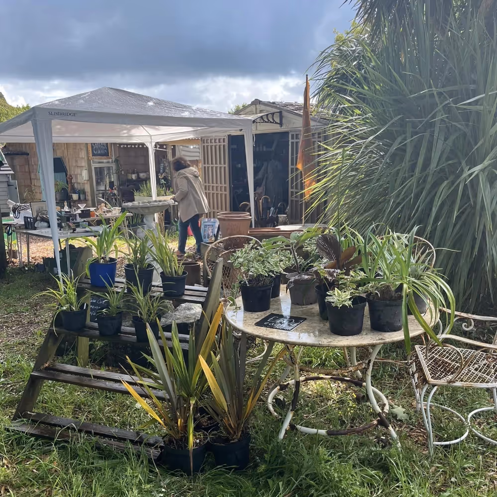 An outdoor antiques shop