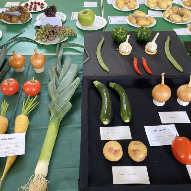 Vegetables on display at a horticultural show