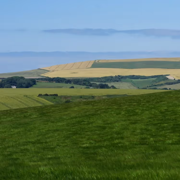 A high up view across fields to the sea beyond