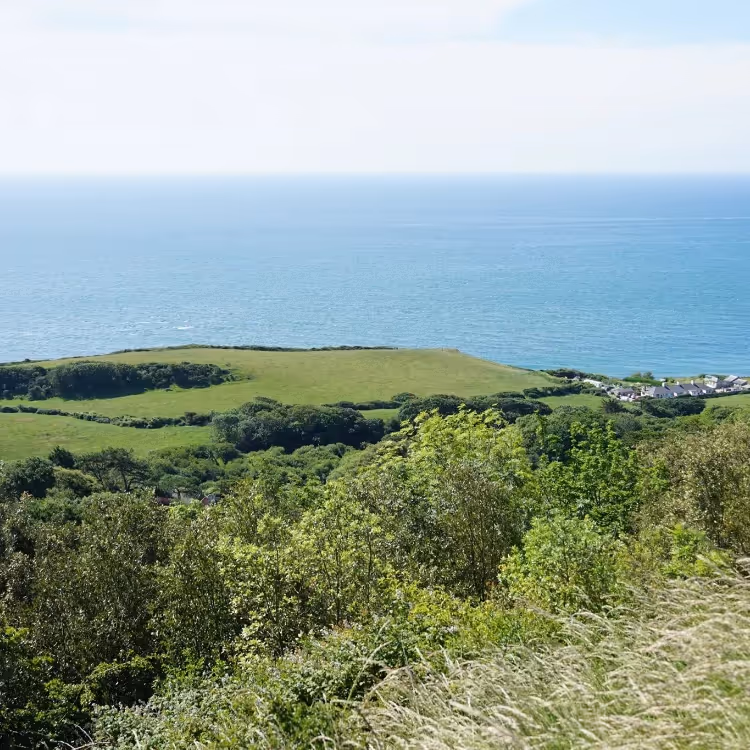 A high up view across fields to the sea beyond