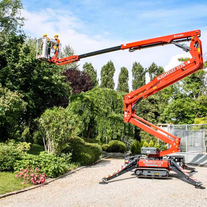 Tree surgeons on a cherry picker