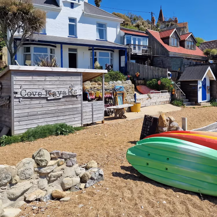 Paddleboards on a beach