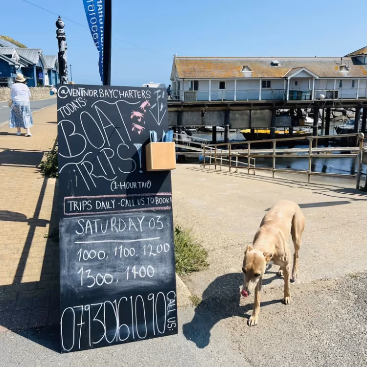 A blackboard displaying times for boat trips