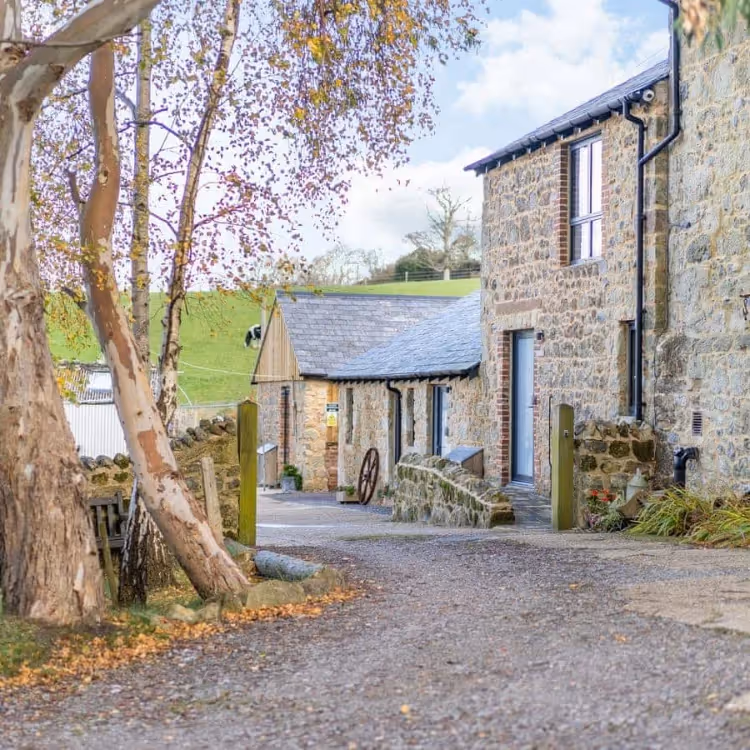A lane with old stone buildings and trees in autumn