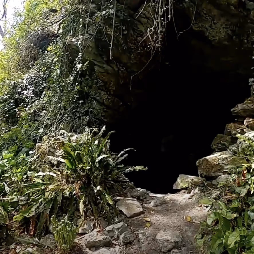 Entrance to a cave in woodland