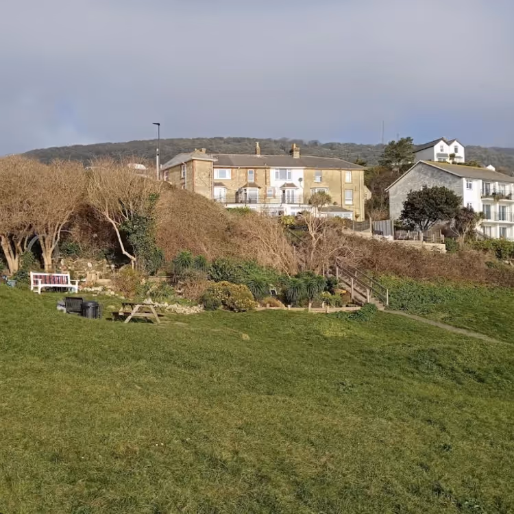 A community garden with houses beyond