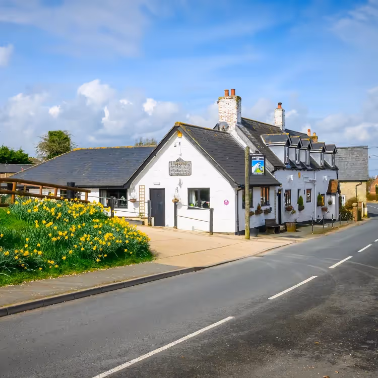 A white pub on a quiet road